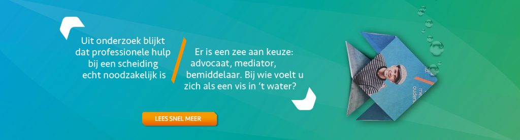 Hoe kan ik de scheiding regelen - Scheidingsplanner Hilversum | Bilthoven | Soest | 't Gooi