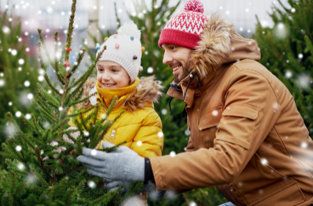 Verdeling feestdagen na de scheiding - Scheidingsplanner Hilversum - Bilthoven - Soest - Het Gooi